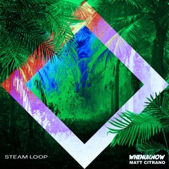 Whenuknow & Matt Citrano - Steam Loop