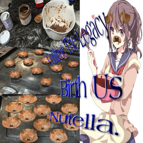 how to bake a nutella lover no glue no borax