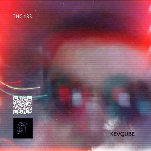 The Newark Confidential 133