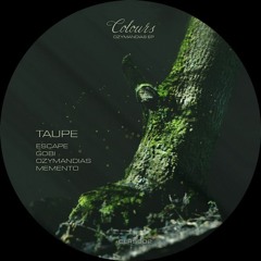 CLRS002 Taupe - Ozymandias EP - SNIPPETS