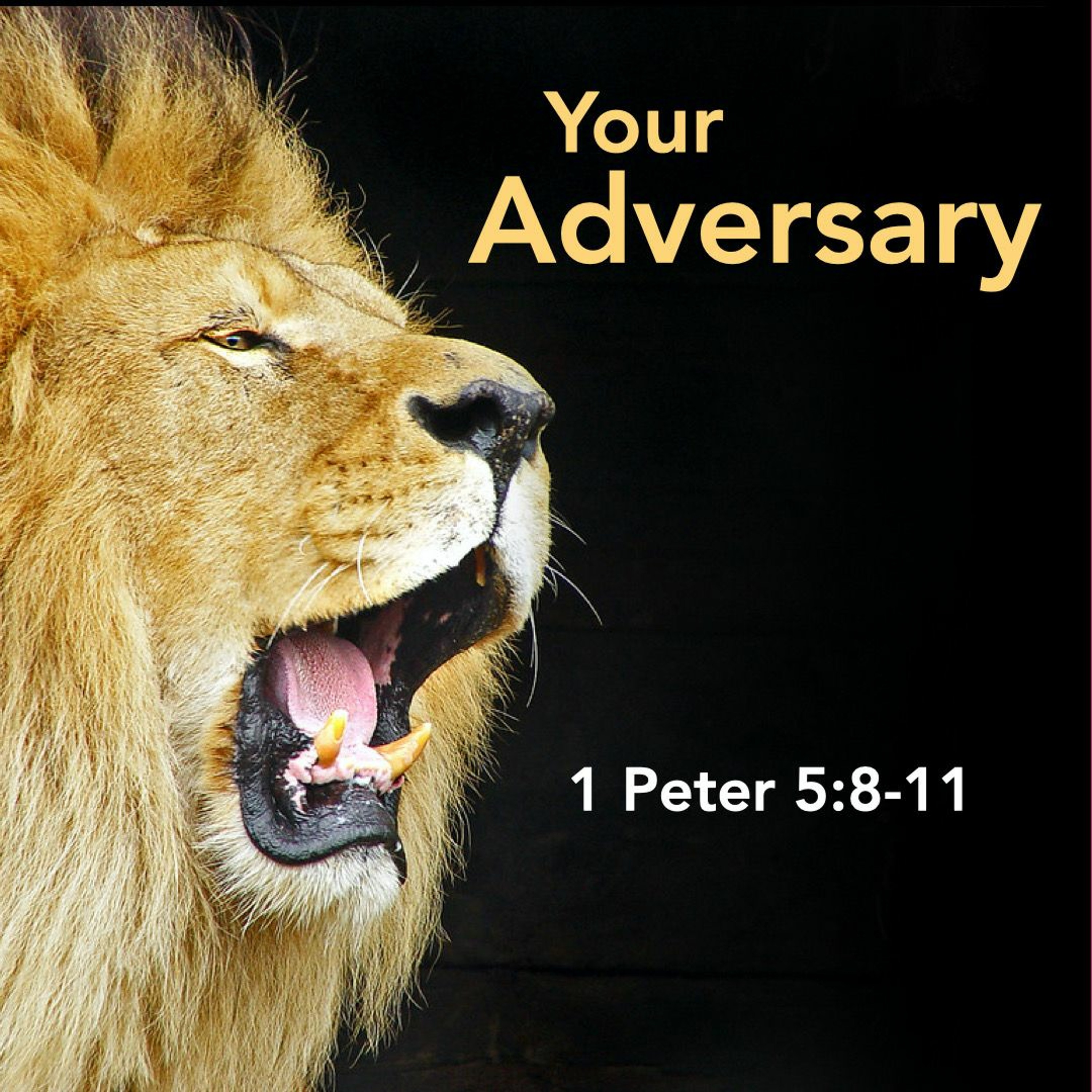 LifeSource Church Sermon Audio