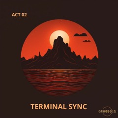 ACT 02 - TERMINAL SYNC