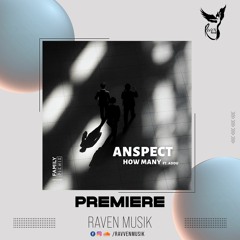 PREMIERE: Anspect - How Many (Original Mix) [Family Piknik]