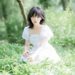 Hoa hải đường chưa ngủ lúc 4 giờ sáng