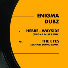 ENiGMA Dubz - The Eyes (Ternion Sound remix) [DUPLOC049]
