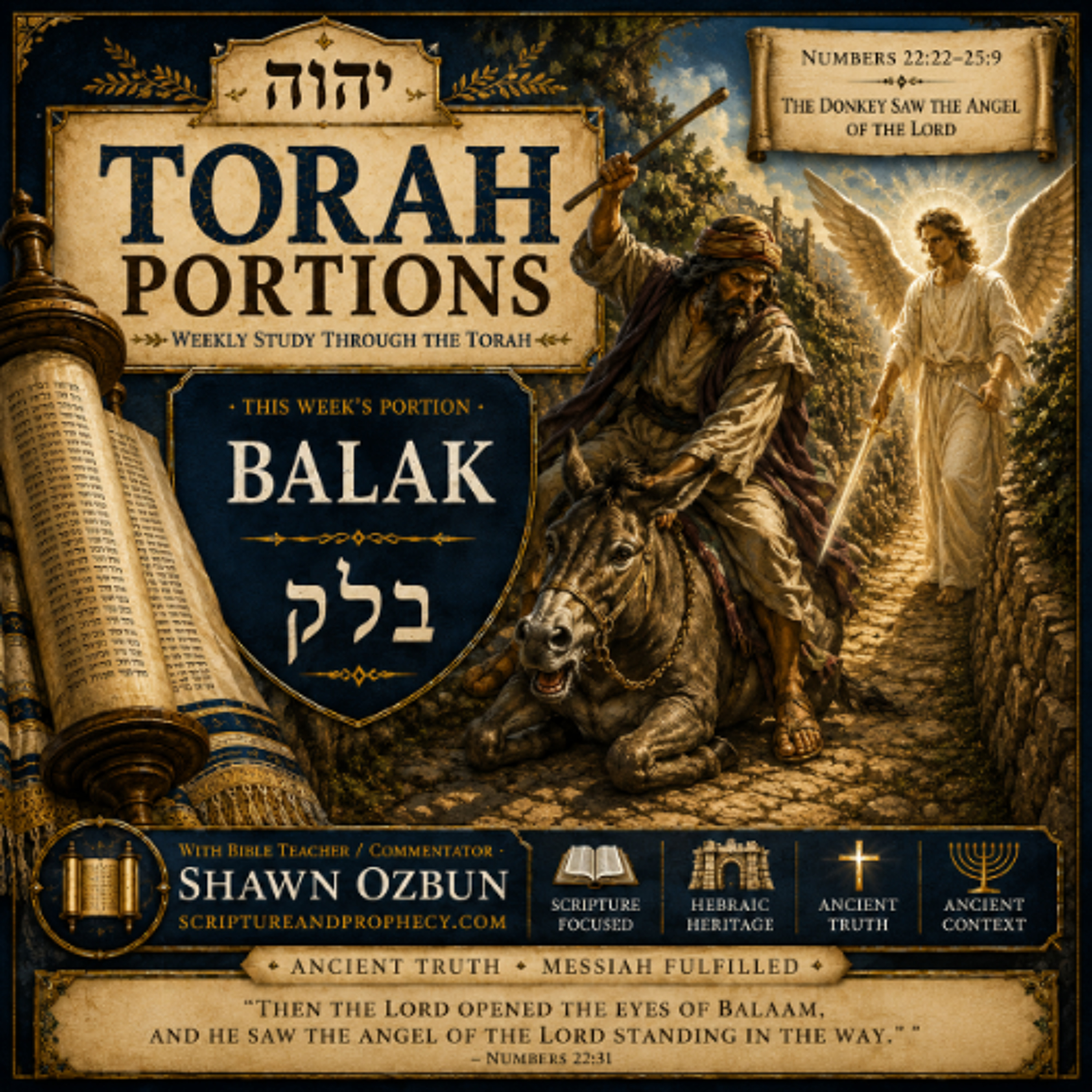 Balam, A Prophet for Hire - Torah Portion - Balak: (Numbers 22-25:9) episode artwork