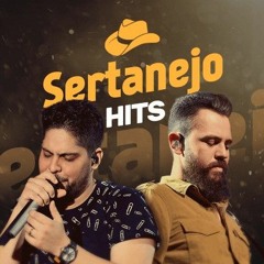 Gusttavo Lima Até A Garrafa Chora - (Remix )