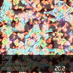 P01ntl355 - What