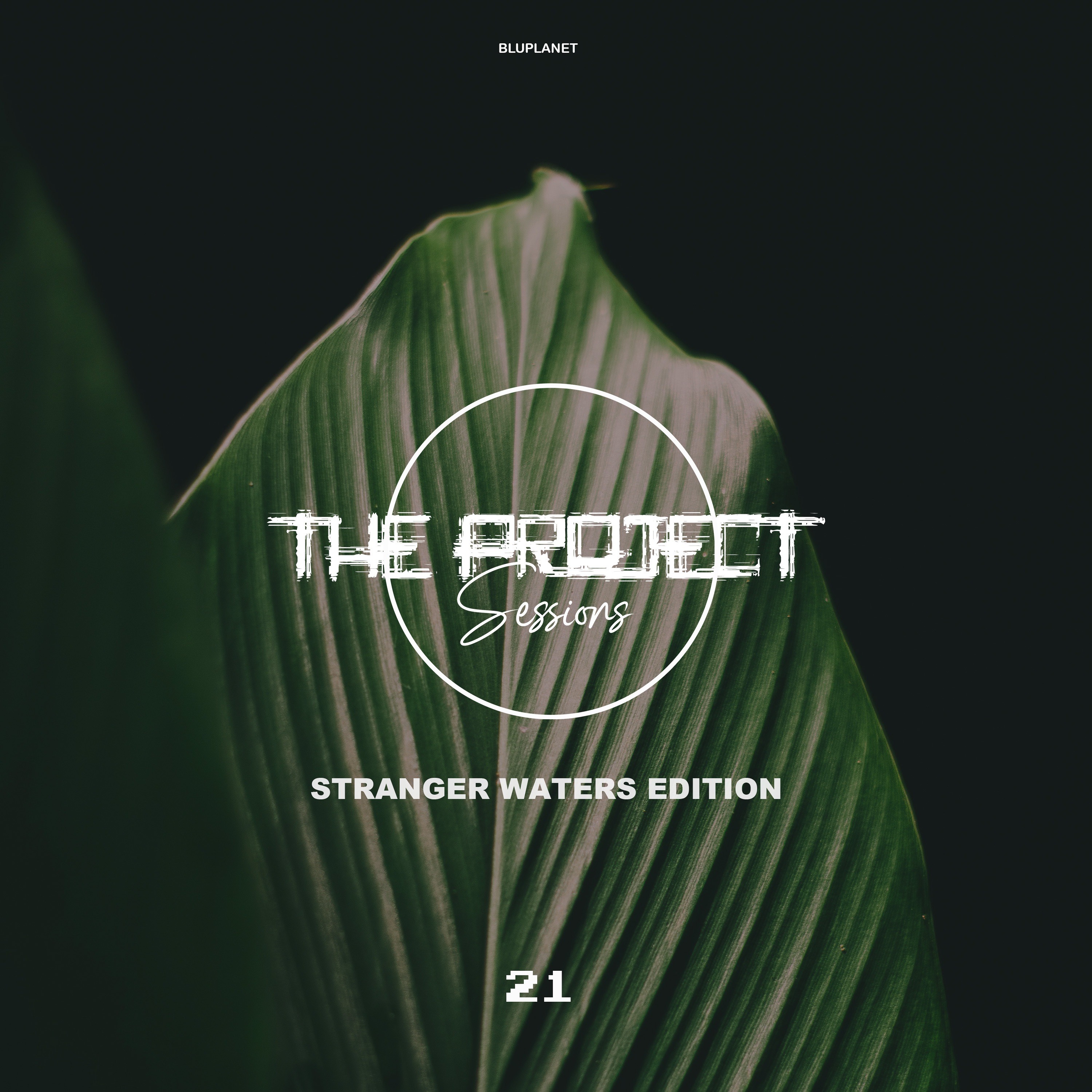 The Project Sessions