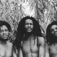 The Itals - Material Gain