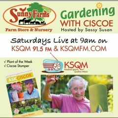 02/17/2024 Gardening With Ciscoe #178