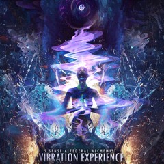 5 Sense & Federal Alchemist - Vibration Experience