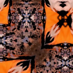 ANOMALY