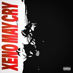 *Home Alone* ft RudeLiDee (p.flakkø)