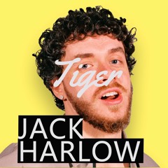 Tiger | Jack Harlow type beat