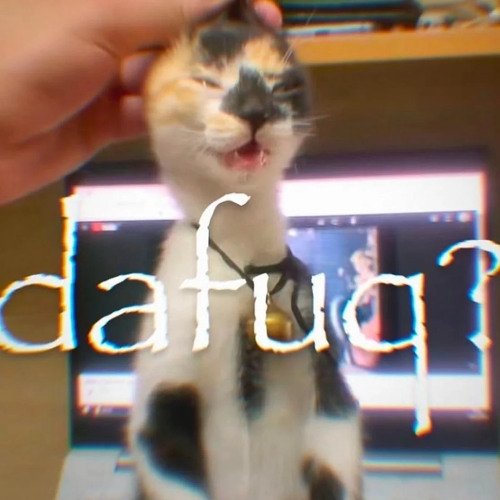 what are you doing little man?