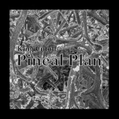 Pineal Plan