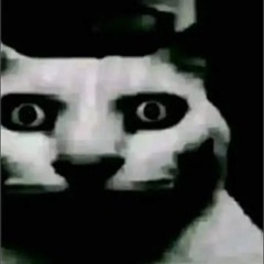 5/5in1.(Trọng Filo Remix)