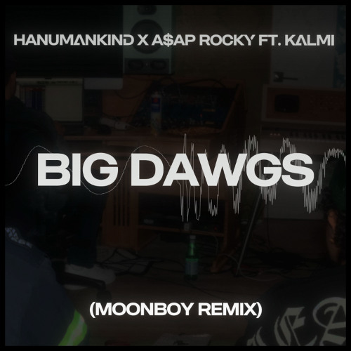 Big Dawgs (MOONBOY Remix) | Hanumankind x A$AP Rocky Ft. Kali