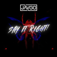 Say It Right - JAYGO (Remix Extended)