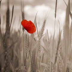Souvenirs du Coeur
