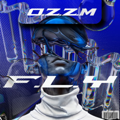Fly - Ozzm