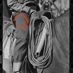 Bolt Cutters Rebellion