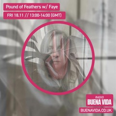 Pound of Feathers w/ Faye - Radio Buena Vida 18.11.22