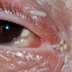 🔪🩸😆🔪😆🩸🔪🩸🔪😆🩸🩸🩸🩸🩸