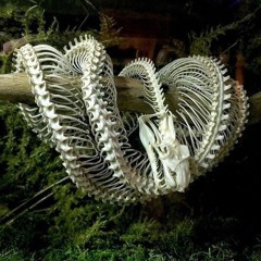 The sleeping snake