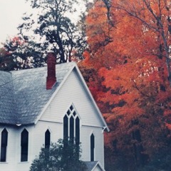 March 8th - San Rosie