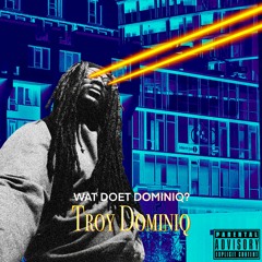 Wat Doet Dominiq - Troy Dominiq