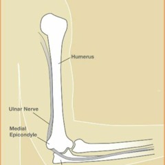 WESIM - CRYING DANCE (HATSUNE MIKU & AISER SPESH FOR TIMA BTSS) PLATE ON BEDCAMP!!!! [23!]