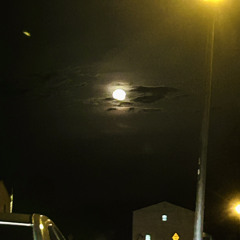 FUXKMOON - DUMB WAYS TO DIE (diss)