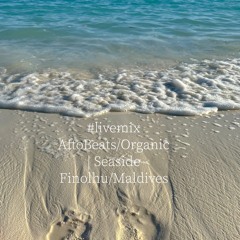 #livemix AfroBeats/Organic | Seaside Collection/Finolhu Maldives