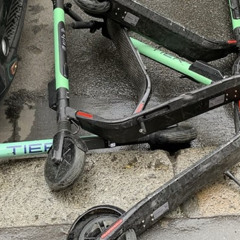 armen a disparu jeté en pâture
