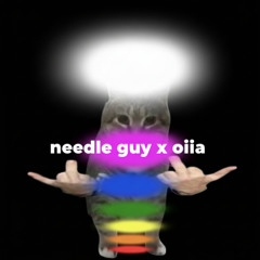 NEEDLE GUY X OIIA CAT FLIP