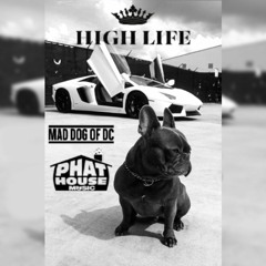 High Life - House Music Mix!