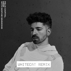 Mine [WhiteCat Remix]