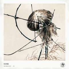 Therma - Introspect (Mystic State Remix)[Elemental Arts Premiere]