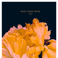 Many, Many More (Rough Mix)