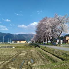 春の電車道ver1.0.1