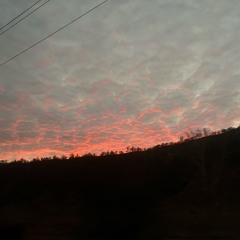 FRWD MOVERS (@prodadvm)