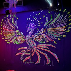 Psy Techno @ Rausch&Randale 24.08.24