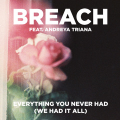 Everything You Never Had (We Had It All) (Extended Mix) [feat. Andreya Triana]