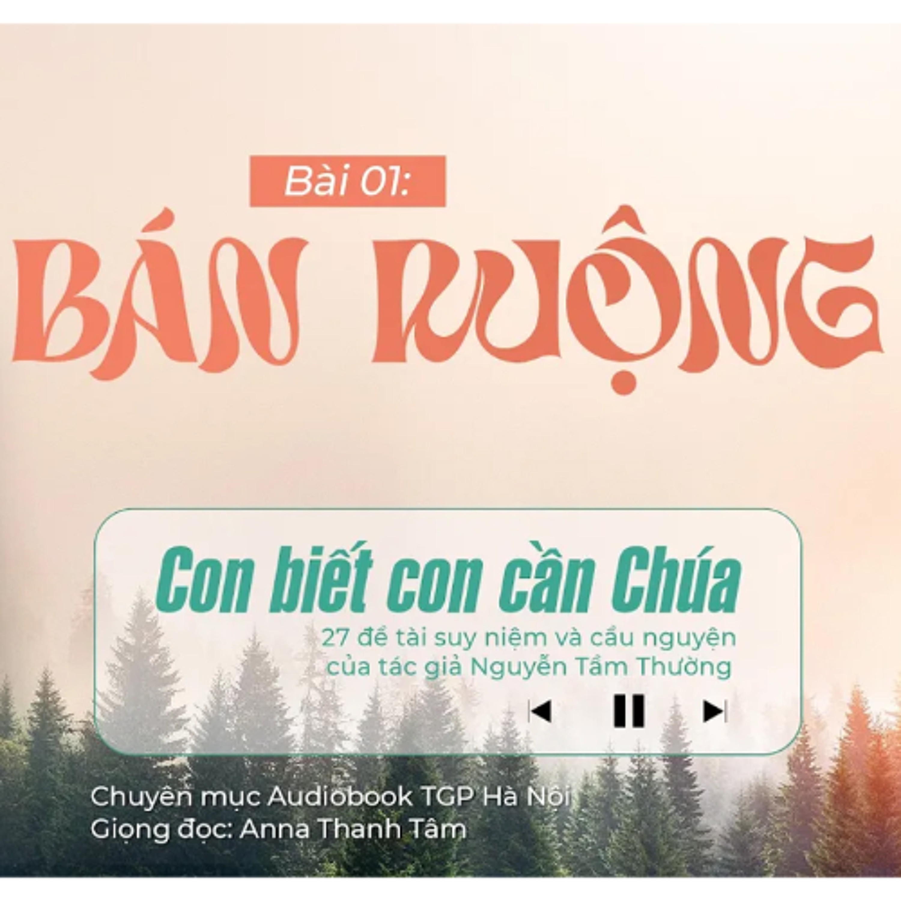 #01 Bán ruộng || Con biết con cần Chúa || Tác giả Nguyễn Tầm Thường