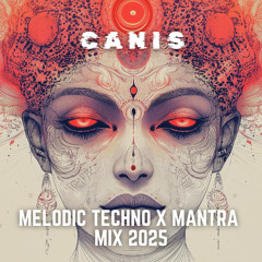 INDIE MANTRA X MELODIC TECHNO MIX 2O25 | NEW YEAR SET 2025 @ NOISE.GOA | CANIS MIXTAPE