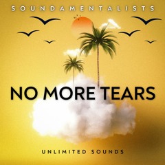 No More Tears (Rap/Hip Hop/RnB Type Beat) ExRights Available. soundamentalists@hotmail.com