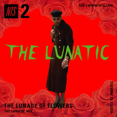 The Lunacy of Flowers w/ Dave ID: The Lunatic Mix 281123