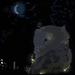 Decolar As Duas Faces da Lua)